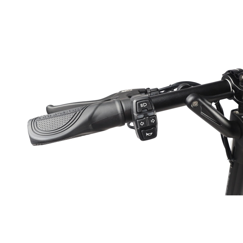 Trottinette Électrique Dualtron Aminia - double moteur