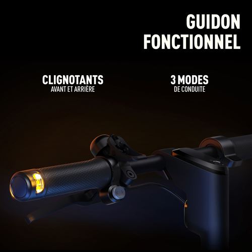 Trottinette électrique Segway-Ninebot F2 Plus E
