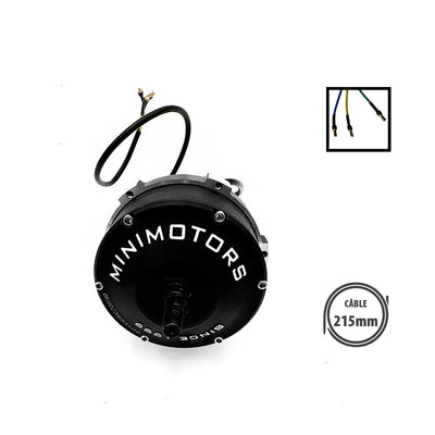 Speedway 5 motor and Dualtron Dt3 