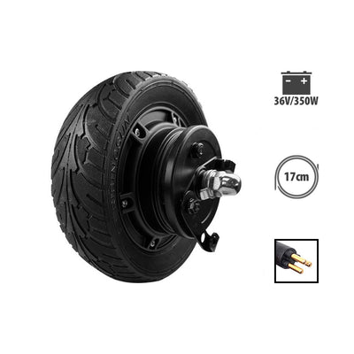 36V 350W Motor for Z8