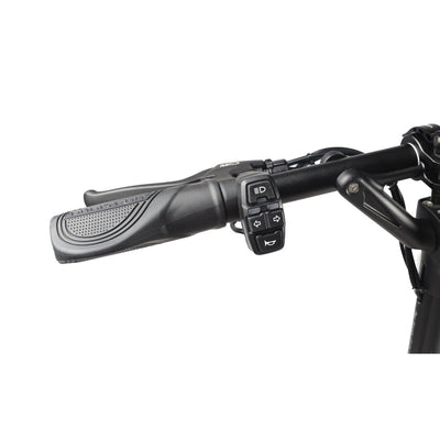 Trottinette électrique Dualtron Aminia - double moteur