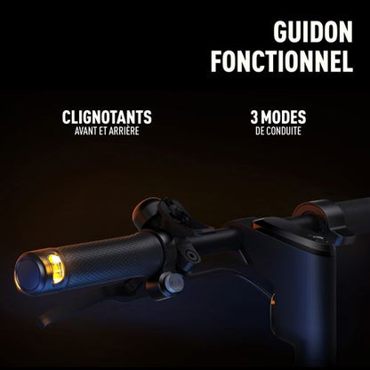 Trottinette électrique Segway-Ninebot F2 Plus E
